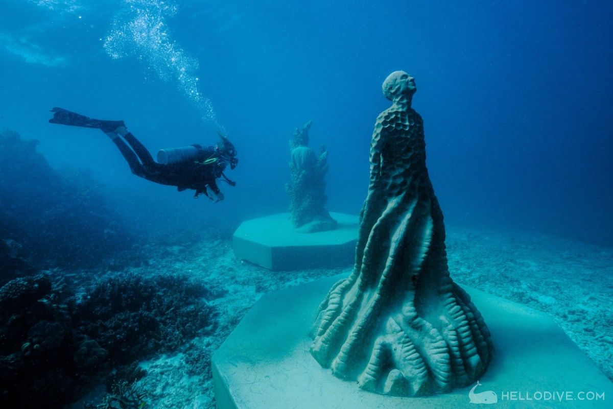 澳大利亚-大堡礁水下博物馆一日潜水(Museum of Underwater Art)潜水
